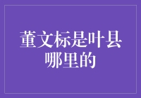 董文标是叶县哪里的？这是一个村里人都头疼的问题