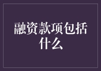 融资款项的全面解析：从资金来源到用途