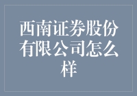 探秘西南证券：真的那么西南吗？