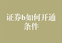 证券B开通条件解析：一场通往投资盛宴的炼金之旅