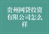 贵州网贷投资有限公司怎么样？真的适合我投资吗？