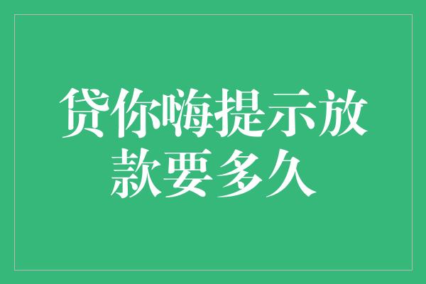 贷你嗨提示放款要多久