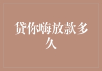 贷你嗨放款审批时效解析：快速融资的秘诀