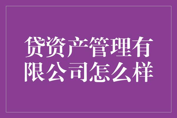 贷资产管理有限公司怎么样