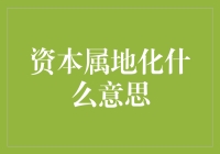 资本属地化：在地全球化战略下的企业本土化转型