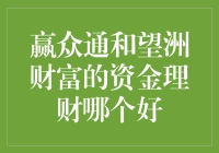 赢众通与望洲财富：资金理财哪家更值得信赖？