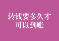 阿姨，你吃个饭能长点儿心吧！转钱要多久才能到账？