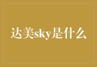 达美sky：究竟是什么来头？