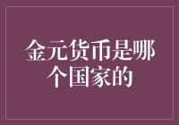 你有见过金元货币吗？它来自哪个国家？