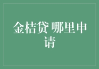 揭秘金桔贷：哪里是你的最佳申请点？