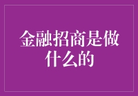 金融招商到底是啥玩意？