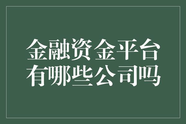 金融资金平台有哪些公司吗