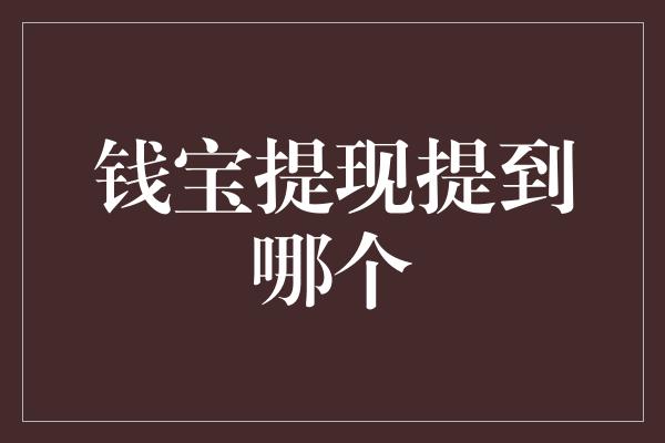 钱宝提现提到哪个