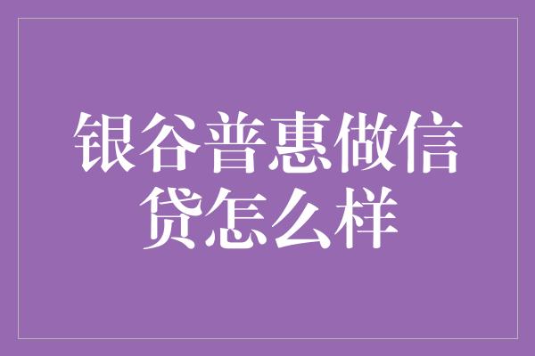 银谷普惠做信贷怎么样