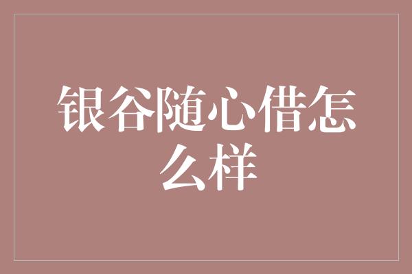 银谷随心借怎么样