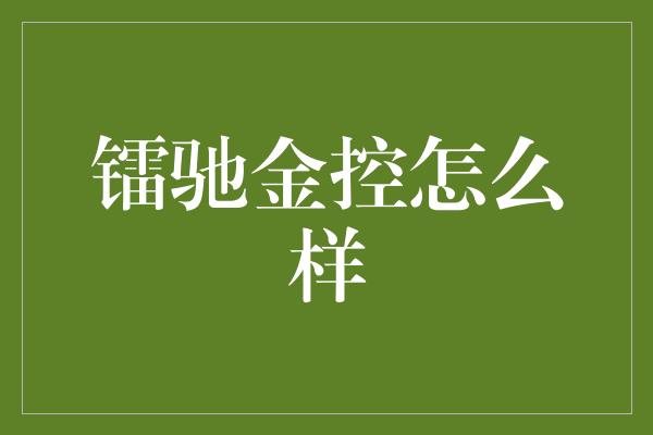 镭驰金控怎么样