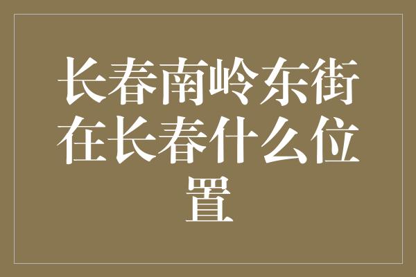 长春南岭东街在长春什么位置