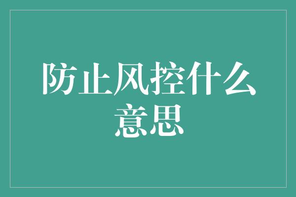 防止风控什么意思