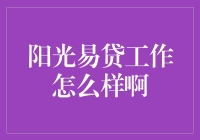 阳光易贷：新时代金融模式的探索与实践