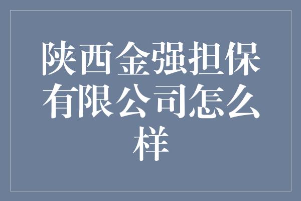 陕西金强担保有限公司怎么样