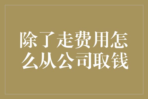 除了走费用怎么从公司取钱