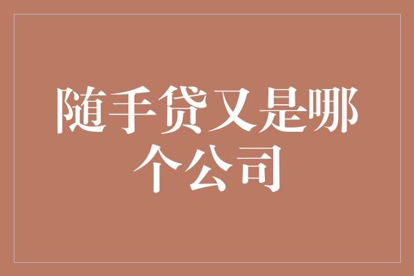 随手贷又是哪个公司