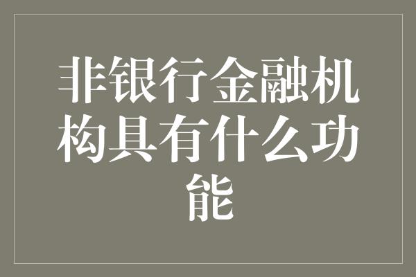 非银行金融机构具有什么功能