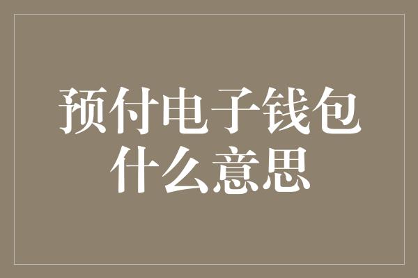 预付电子钱包什么意思