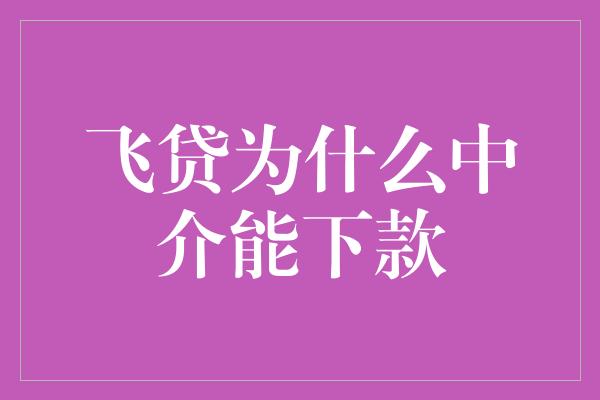 飞贷为什么中介能下款