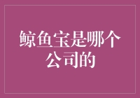 鲸鱼宝？原来是你啊！在海底沉寂的宝藏公司