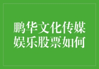 鹏华文化传媒娱乐股票：从股民歌手到股市大亨的奇幻之旅