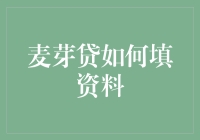 填表大神速成指南：一招教你成为麦芽贷资料填报高手！