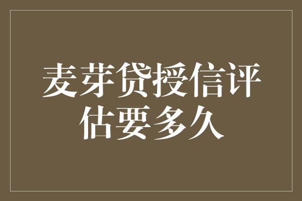 麦芽贷授信评估要多久