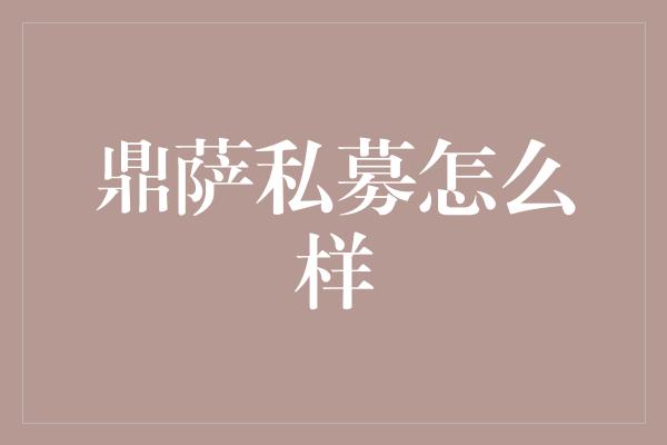 鼎萨私募怎么样