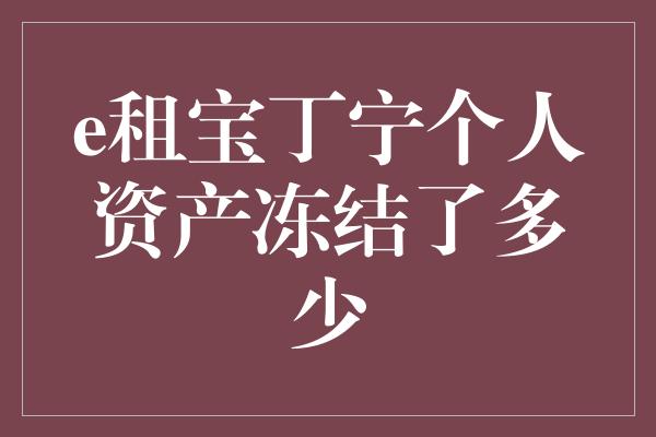 e租宝丁宁个人资产冻结了多少