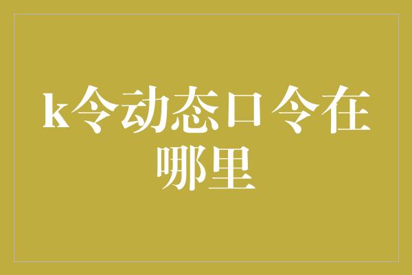 k令动态口令在哪里