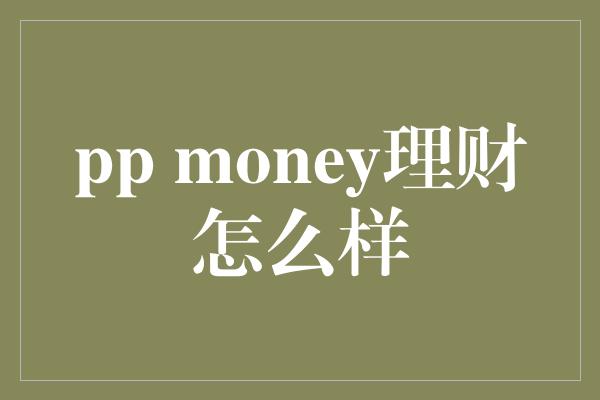 pp money理财怎么样