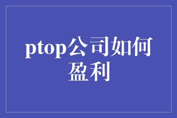 ptop公司如何盈利