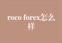 Roco Forex：一次专业级的外汇交易体验