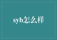 世界上最神奇的补品：SYB怎么样的神奇之旅