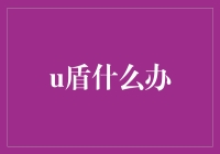 如何用U盾拯救世界：一场科技与魔法的奇幻之旅