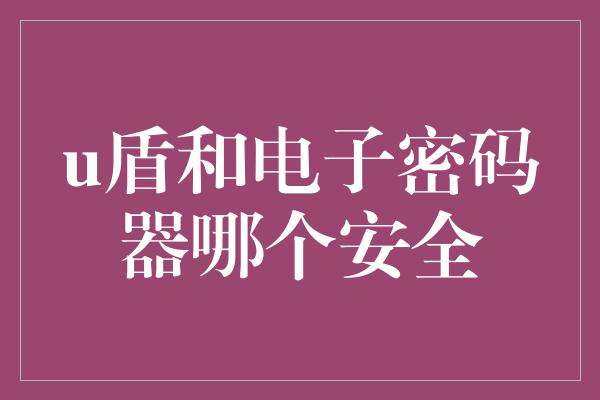 u盾和电子密码器哪个安全