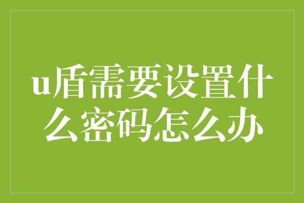 u盾需要设置什么密码怎么办