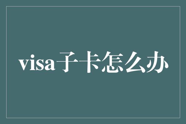 visa子卡怎么办